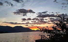 Recanto das tartarugas